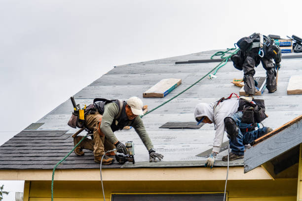 Professional Storm Damage Roof Repair technician working in Colesburg, IA